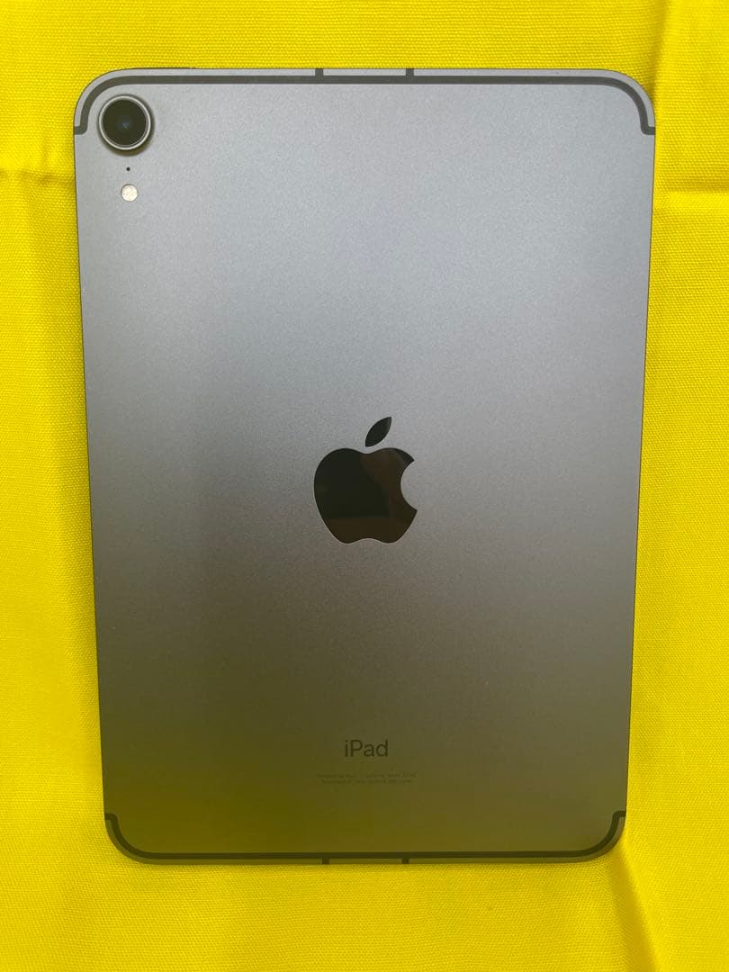 【E】iPad mini 第6世代 256GB ネットワーク【ー】
